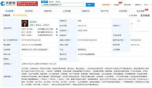 楊天真創辦真真品牌管理公司 以專業攝像與制作服務賦能品牌升級